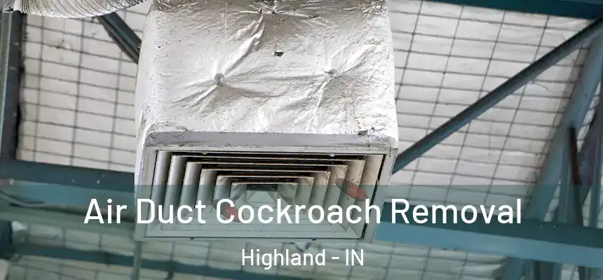Air Duct Cockroach Removal Highland - IN