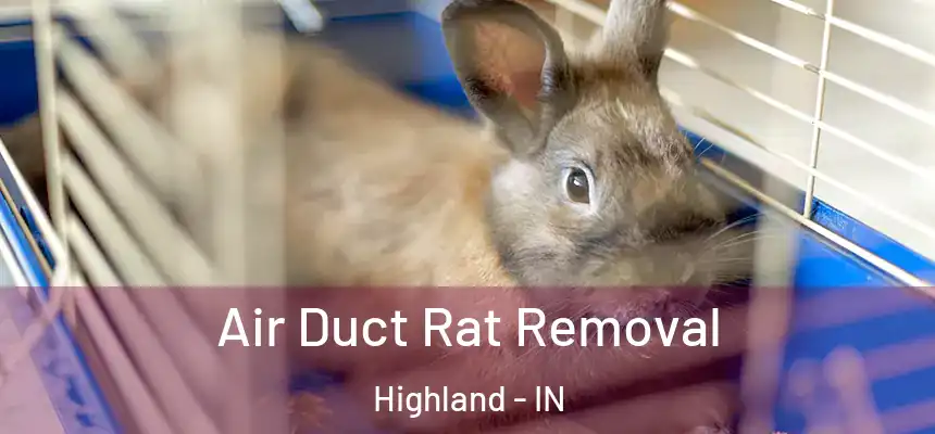  Air Duct Rat Removal Highland - IN