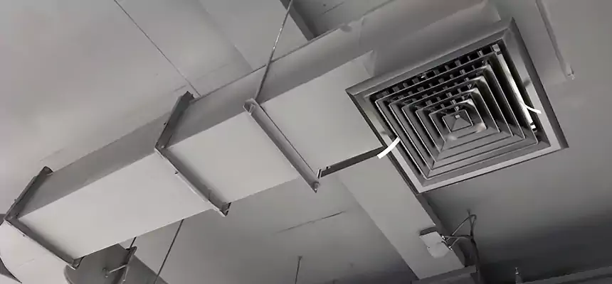 Restorative Allergy Relief Vent Cleaning – Coil, Blower & Housing Detail in Highland