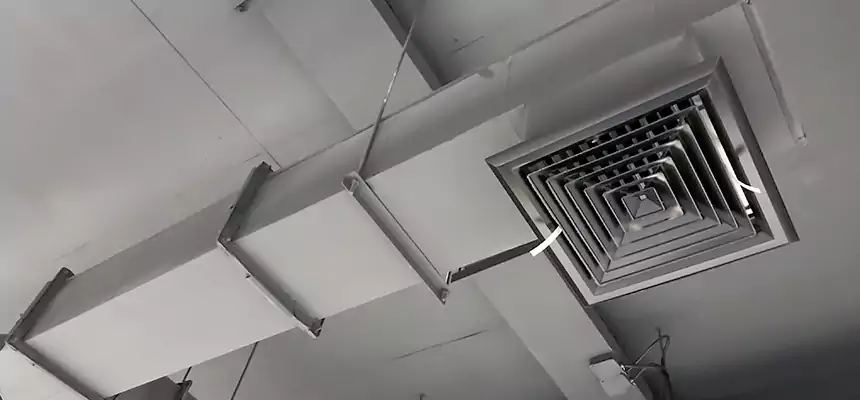 Our Rodent Droppings In Vents Services in Highland, IN