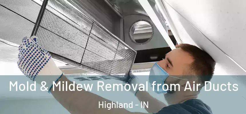Mold & Mildew Removal from Air Ducts Highland - IN