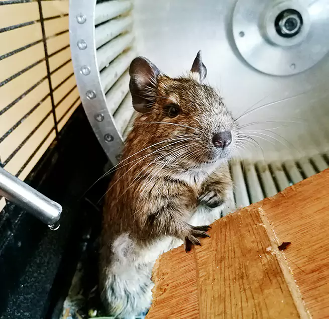 Why Homeowners & Businesses Trust Us Highland, IN?