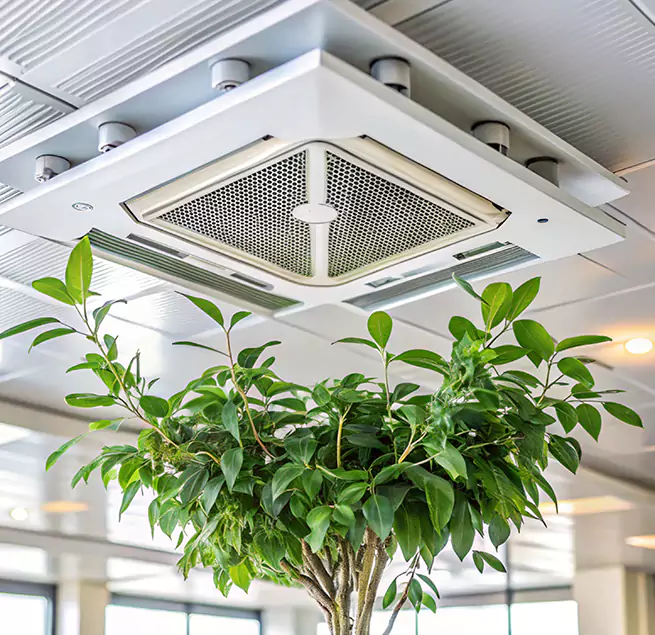 Why Homeowners & Businesses Trust Us in Highland, IN?